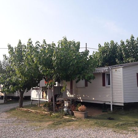 Camping Vila Village Sant Feliu de Buixalleu Εξωτερικό φωτογραφία