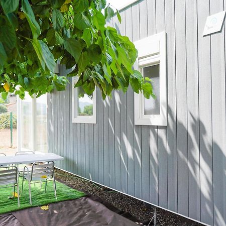 Camping Vila Village Sant Feliu de Buixalleu Εξωτερικό φωτογραφία