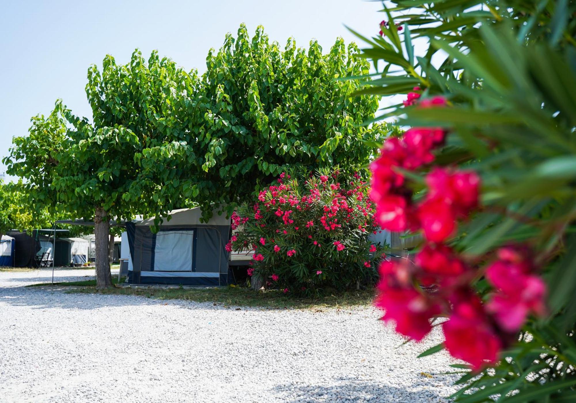 Camping Vila Village Sant Feliu de Buixalleu Εξωτερικό φωτογραφία