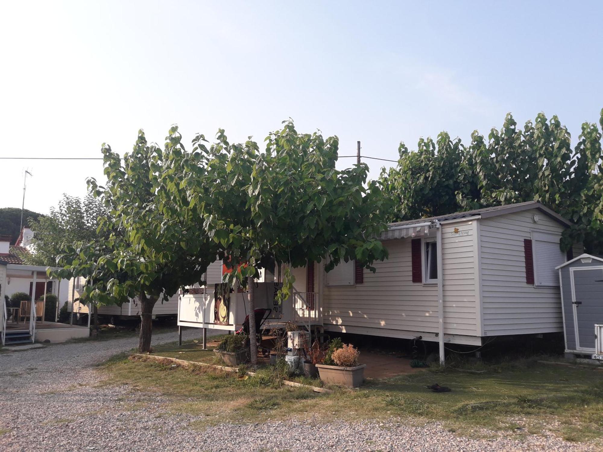 Camping Vila Village Sant Feliu de Buixalleu Εξωτερικό φωτογραφία